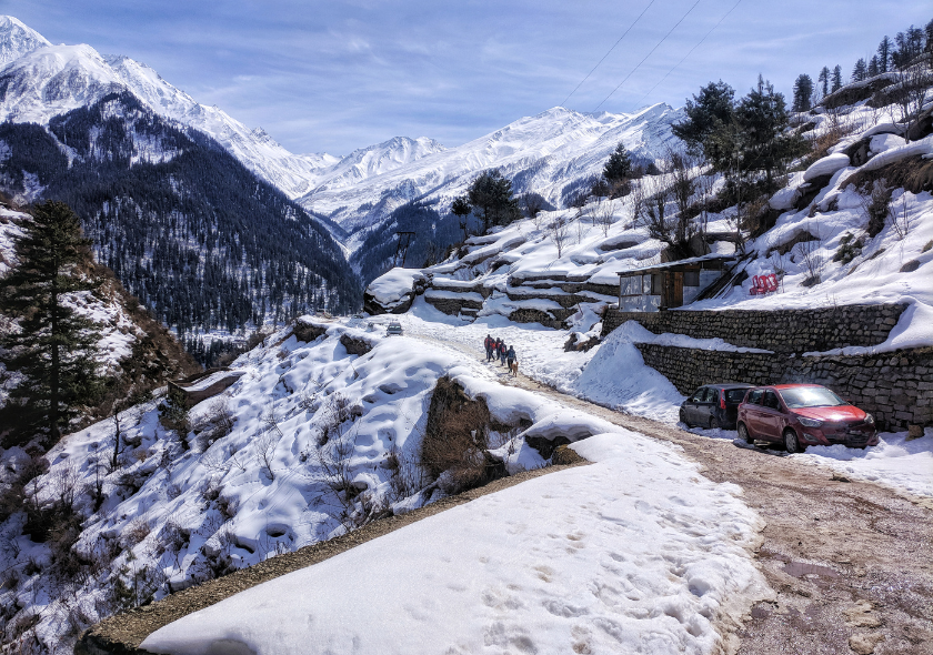 Manali Summer Trekking